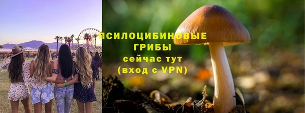 ПСИЛОЦИБИНОВЫЕ ГРИБЫ Козловка