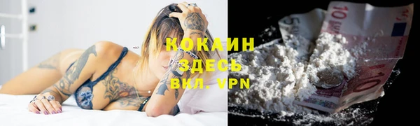 ПСИЛОЦИБИНОВЫЕ ГРИБЫ Козловка