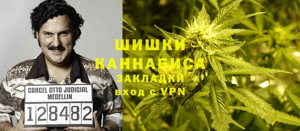 ПСИЛОЦИБИНОВЫЕ ГРИБЫ Козловка