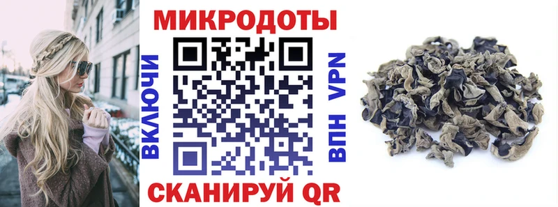 Купить где  Гвардейск  Псилоцибиновые грибы Psilocybe 